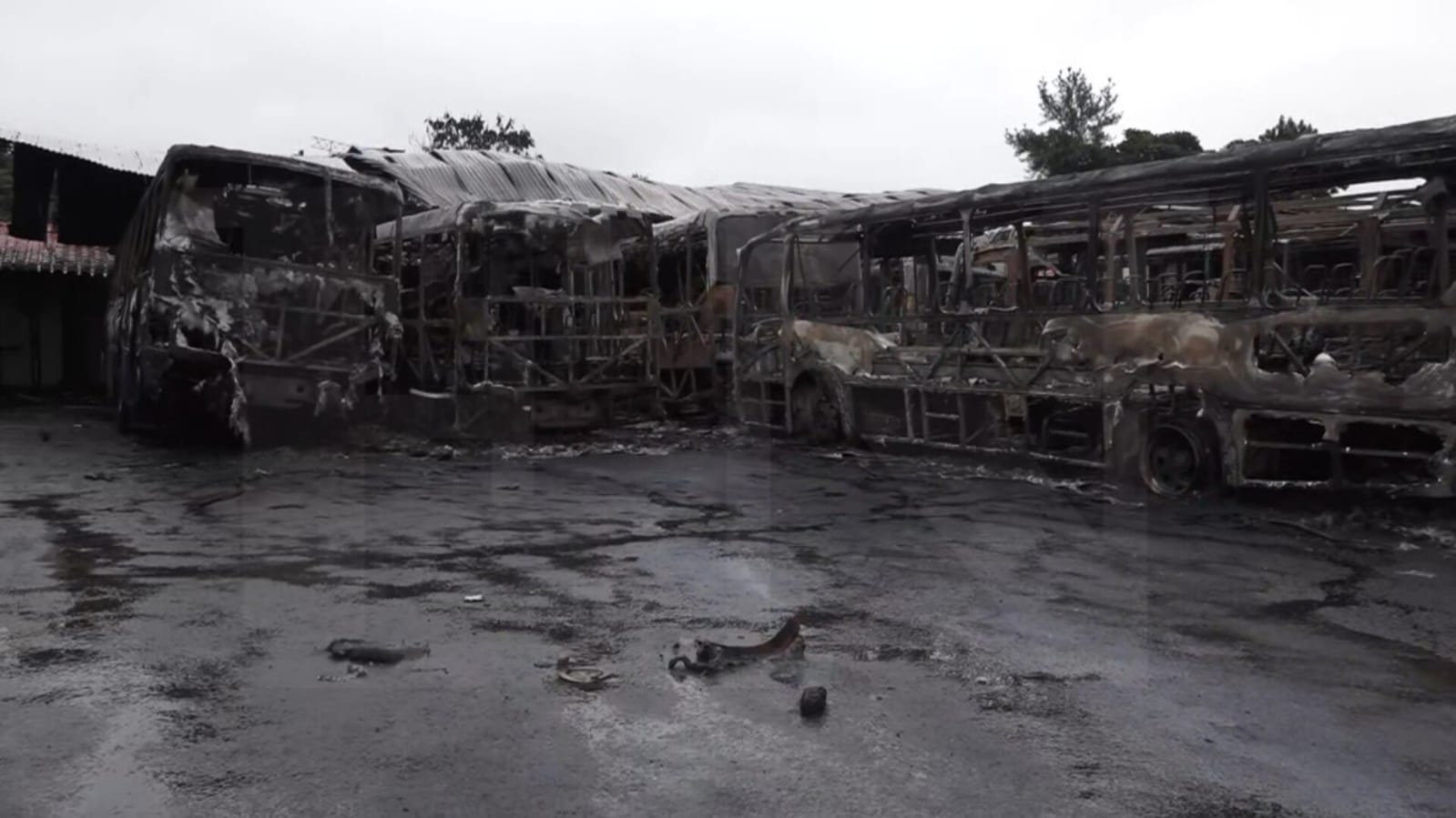 Incendio consumió 8 colectivos. Foto: El Nacional.