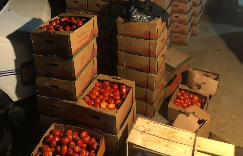 Tomate de contrabando. Foto: Ministerio Público.