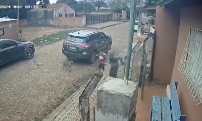 Un hombre a bordo de esta camioneta invitó a los menores a subir. Foto: Captura.