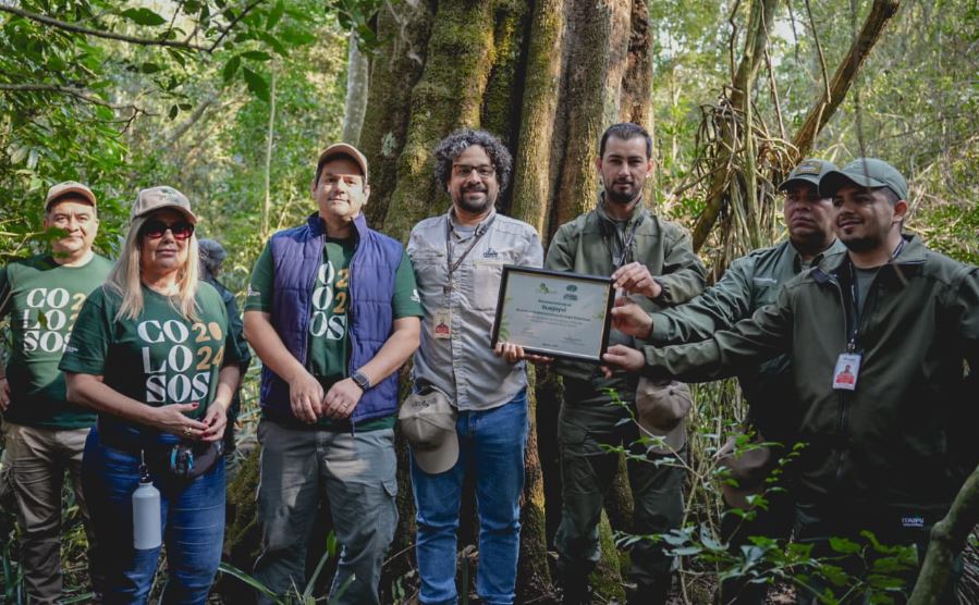 Colosos de la Tierra es la campaña ambiental más grande de Paraguay y de la región. Foto: Gentileza.