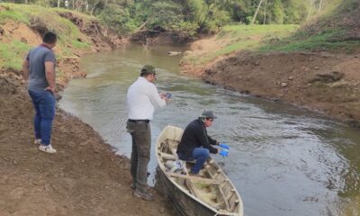 Investigan mortandad de peces. Foto: MADES.