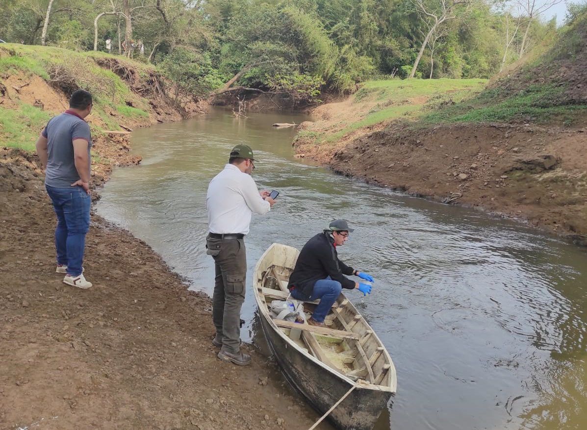 Investigan mortandad de peces. Foto: MADES.