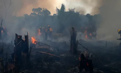 Incendio forestal en Amazonía. Foto: DW