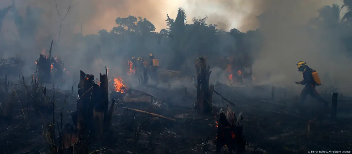 Incendio forestal en Amazonía. Foto: DW