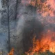 Incendio forestal en California, Estados Unidos. Foto: ayfun Coskun/Anadolu/picture alliance.