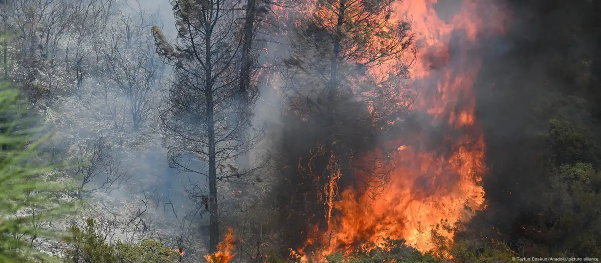 Incendio forestal en California, Estados Unidos. Foto: ayfun Coskun/Anadolu/picture alliance.