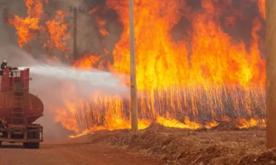 Incendio forestal. Foto: JOEL SILVA/DW