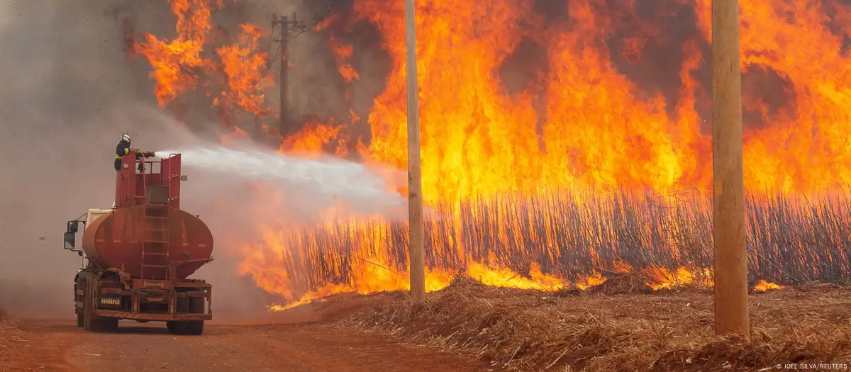 Incendio forestal. Foto: JOEL SILVA/DW