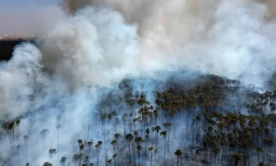 Incendio en el Parque Nacional de Brasilia, Brasil. Foto: Imagen: Eraldo Peres/AP/picture alliance