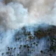 Incendio en el Parque Nacional de Brasilia, Brasil. Foto: Imagen: Eraldo Peres/AP/picture alliance