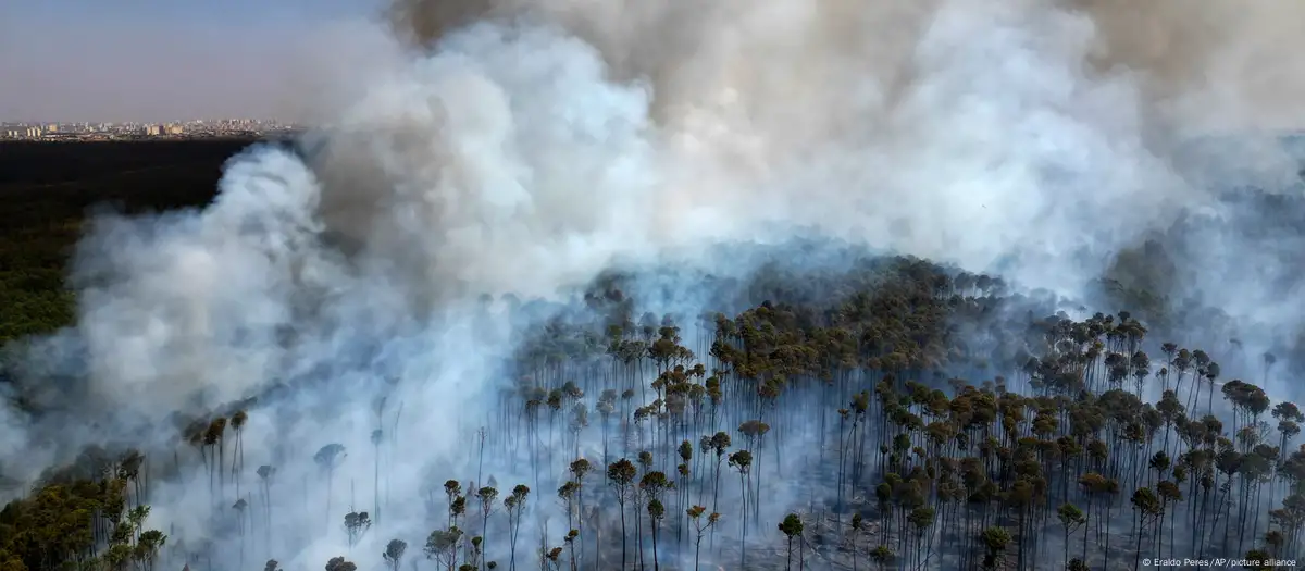 Incendio en el Parque Nacional de Brasilia, Brasil. Foto: Imagen: Eraldo Peres/AP/picture alliance