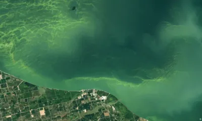 magen satelital tomada del lago Erie, en Norteamérica. Imagen: Wanmei Liang/NASA Earth Observatory