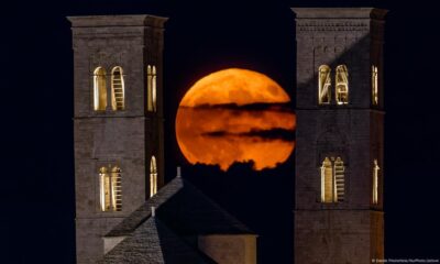 Luna. Davide Pischettola/NurPhoto/picture alliance