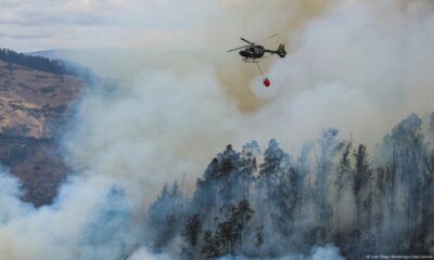 Incendio forestal. Foto: https://x.com/PyBomberos/status/1839282904234385719