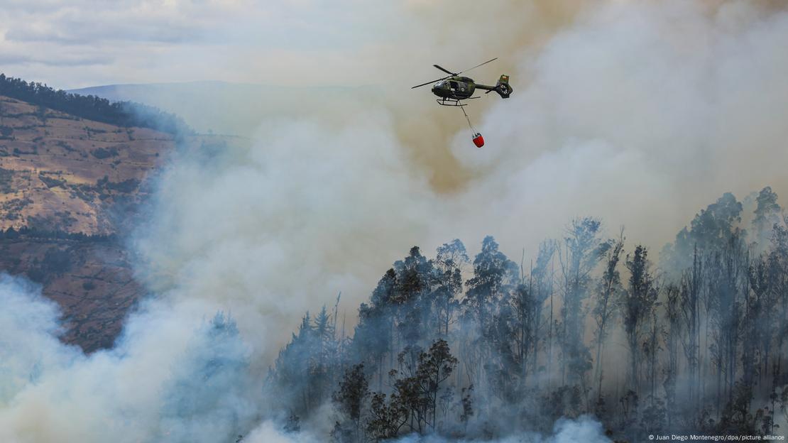 Incendio forestal. Foto: https://x.com/PyBomberos/status/1839282904234385719