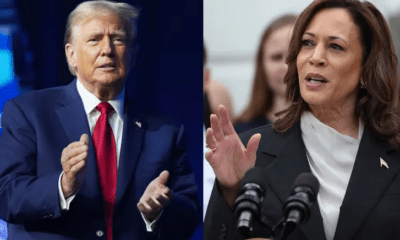 Donald Trump y Kamala Harris. Foto: Infobae.