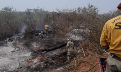 Incendios en la zona del cerro Chovoreca. Foto: Gentileza.