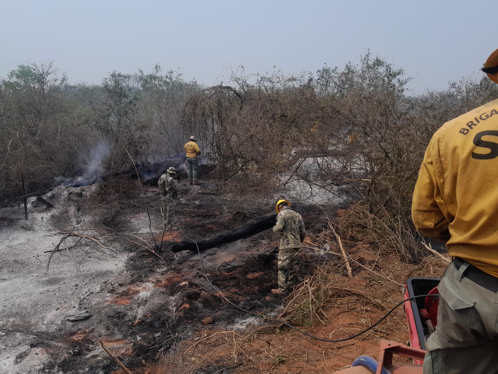 Incendios en la zona del cerro Chovoreca. Foto: Gentileza.