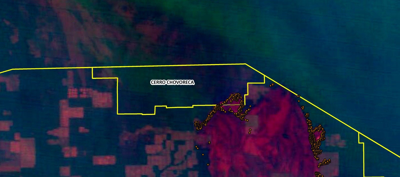 Imagen satelital de los focos de incendio.