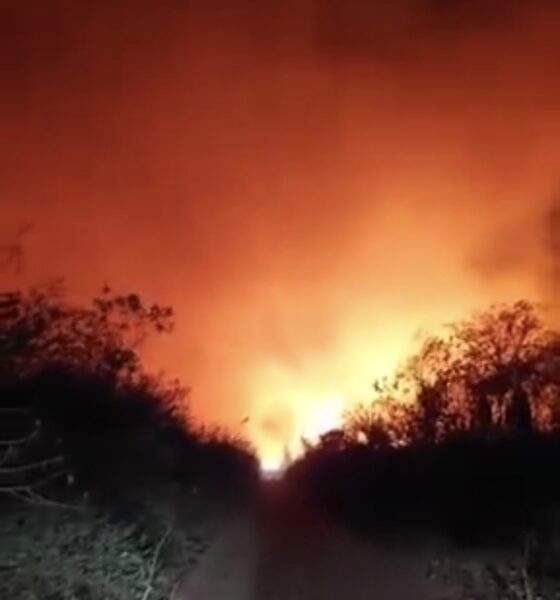 Un feroz incendio se registra aún en el Chaco Paraguayo. Foto: Captura de pantalla.