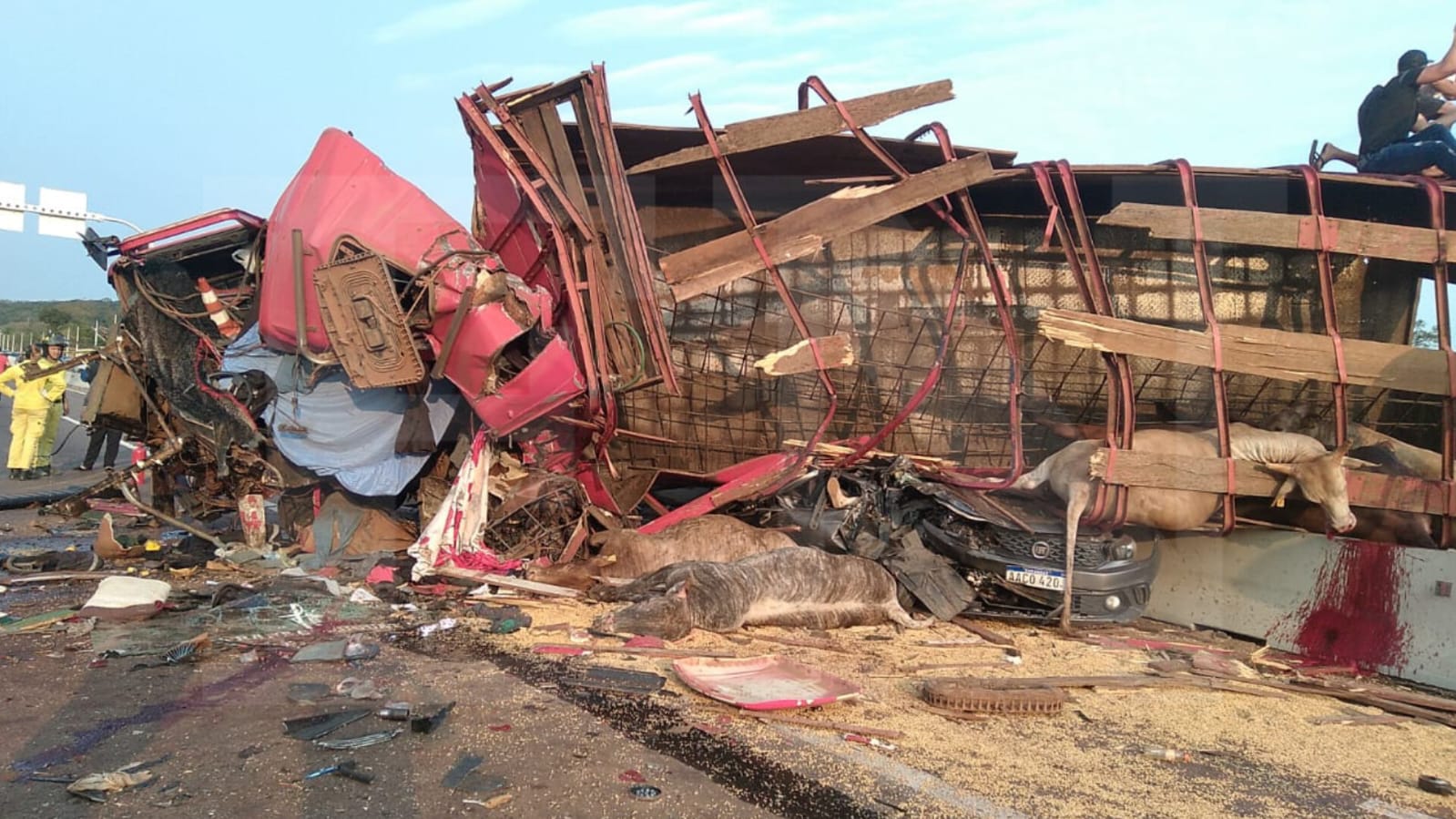 Camión trasganado involucrado en el accidente fatal. Foto: EN