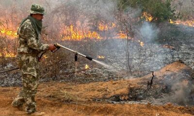 Combate a incendios en el Chaco. Foto: Gentileza.