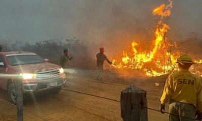 Combate a incendios en el Chaco. Foto: Gentileza.