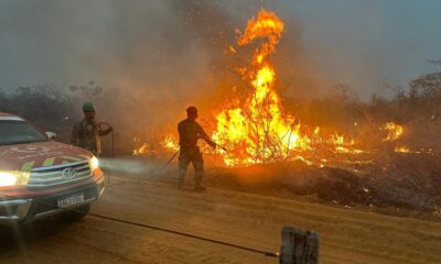 Combate al incendio en el Chaco paraguayo. Foto: Gentileza.