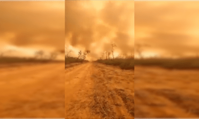 El fuego se volvió un terror en el Chaco. Foto: Captura.