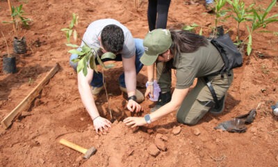 Paraguay Planta. Foto: Gentileza. Archivo.