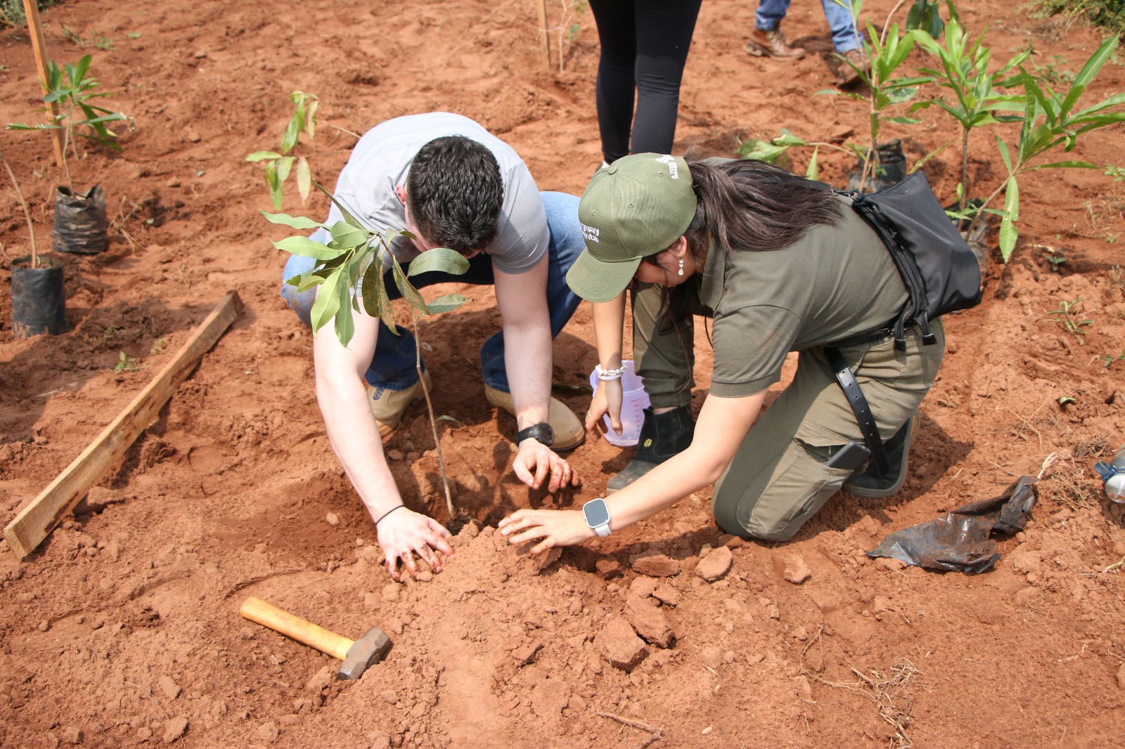 Paraguay Planta. Foto: Gentileza.