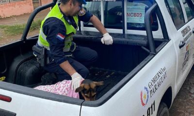 La mascota fue derivada a una clínica veterinaria. Foto: Olfateando Huellas.