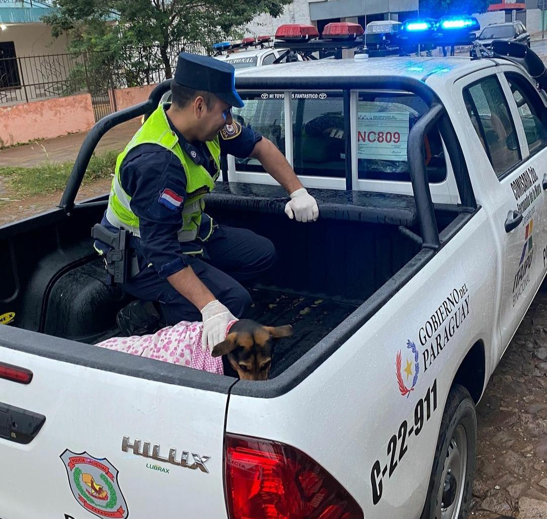 La mascota fue derivada a una clínica veterinaria. Foto: Olfateando Huellas.