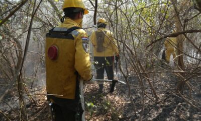 Incendio. Foto: Gentileza.