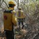 Incendio. Foto: Gentileza.