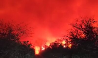 Incendio en el Cerro Chovoreca. Foto: Captura.