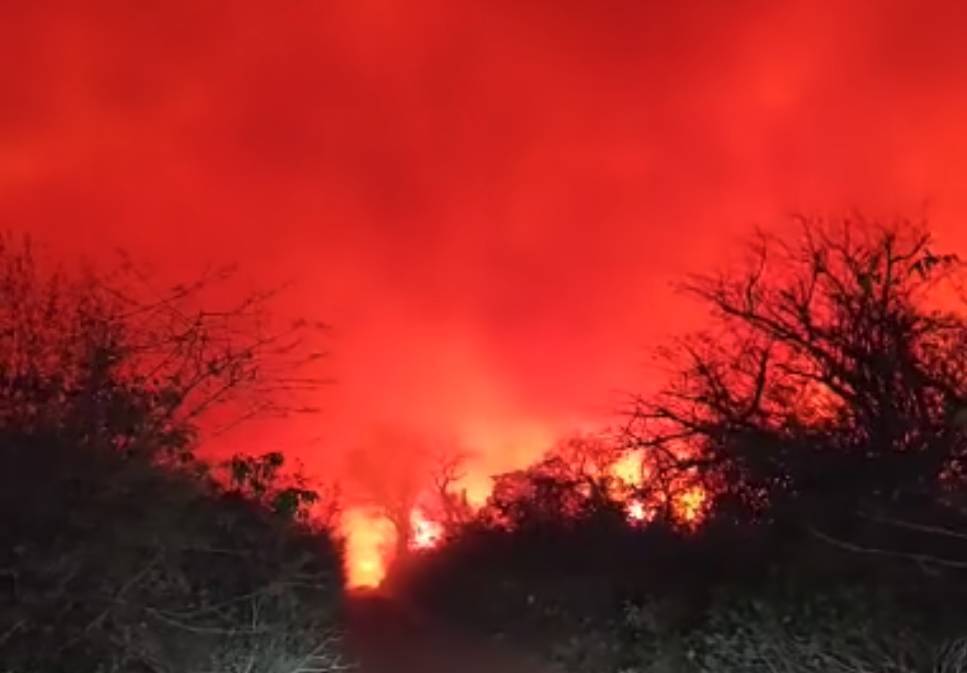 Incendio en el Cerro Chovoreca. Foto: Captura.