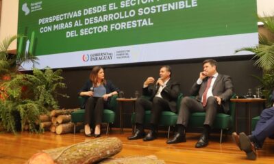 El Instituto Forestal Nacional (INFONA) busca construir una política pública que impulse el desarrollo del sector. Foto: Gentileza.