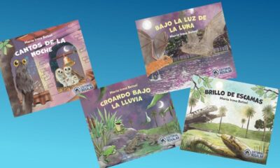 Portadas de los libros que forman la colección "Guardianes de la noche" (Editorial Rosalba). Cortesía