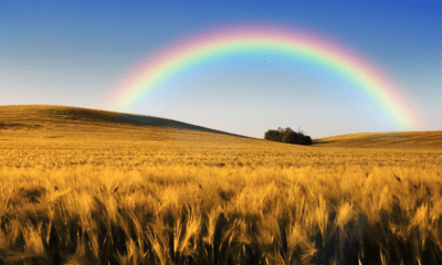 Arcoiris. Foto: Saludable y Positivo.