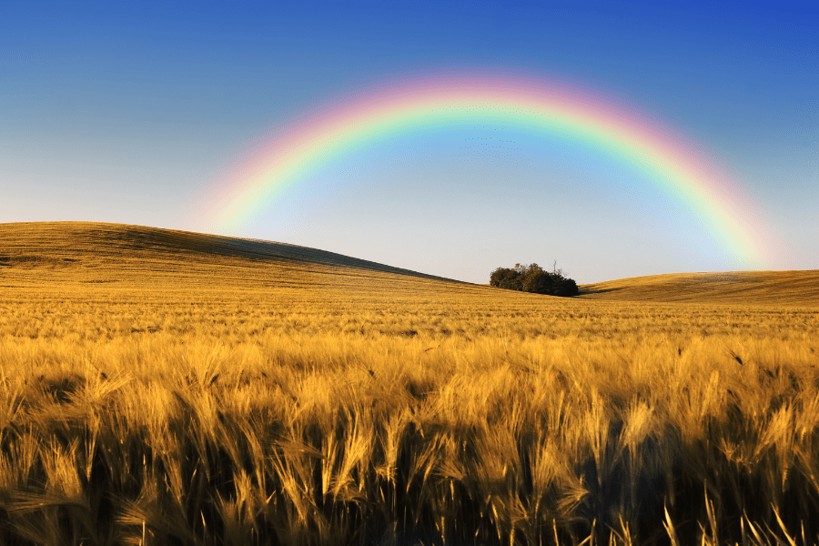 Arcoiris. Foto: Saludable y Positivo.