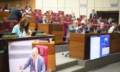 Sesión de la Cámara de Senadores. Foto: Gentileza.