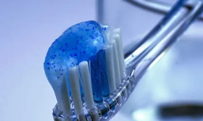 Nuestros cepillos de dientes están llenos de microorganismos, como los virus, y eso no es algo malo. Foto: Bilderbox