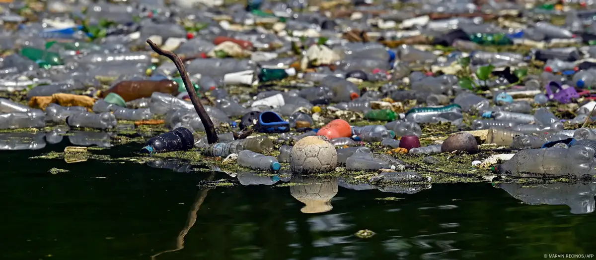 La investigación identificó plástico en los estómagos de más de 200 especies marinas. Imagen: MARVIN RECINOS/AFP/DW