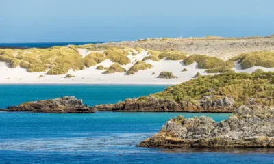 Playa de arena blanca cerca de Puerto Stanley, en un día soleado en las islas Malvinas. Imagen: Steven Heap/Zoonar/picture alliance