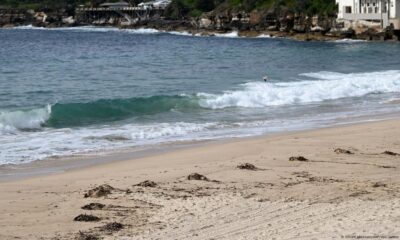 Las primeras bolas de alquitrán aparecieron el martes en la playa de Coogee, en Randwick. Imagen: Steven Markham/AAP/dpa/picture alliance