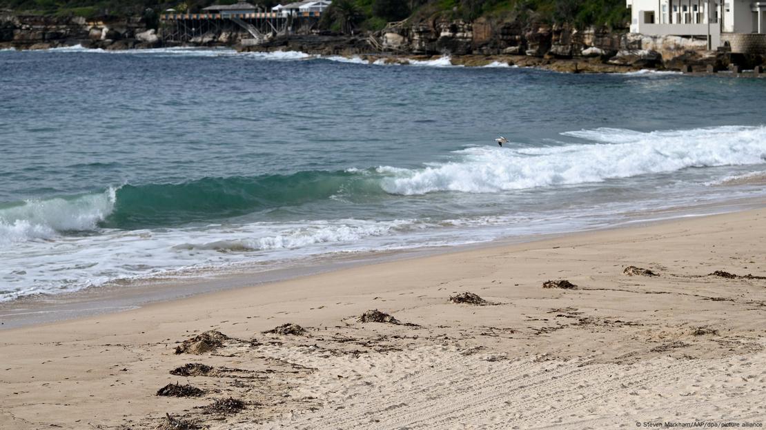 Las primeras bolas de alquitrán aparecieron el martes en la playa de Coogee, en Randwick. Imagen: Steven Markham/AAP/dpa/picture alliance