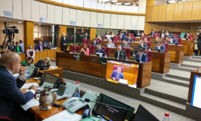 Sesión del Senado. Foto: Gentileza.