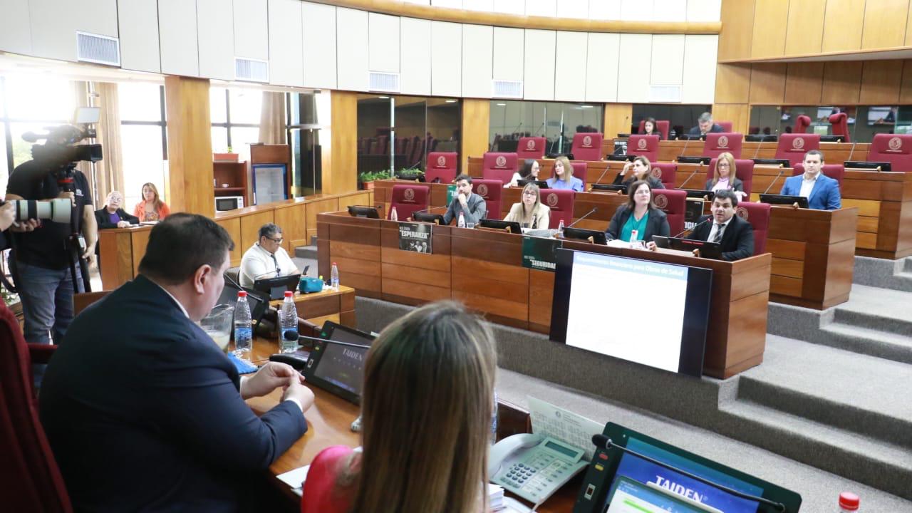 Comisión Bicameral para el estudio del presupuesto. Foto: Gentileza.