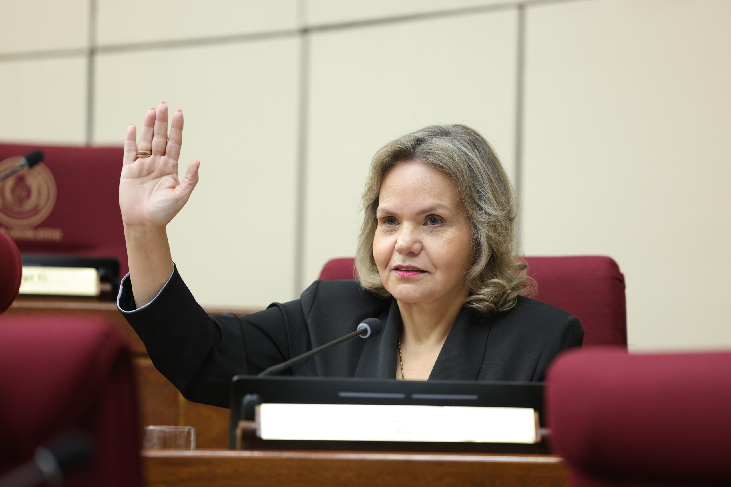 Lilian Samaniego. Foto: Gentileza.